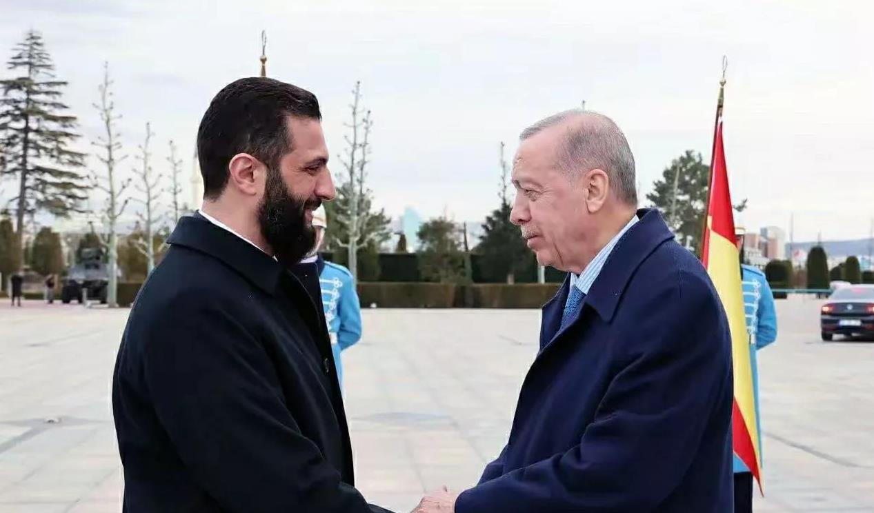 熊猫直播tv-包含经验老将领衔新秀队,共同打造明日之星的词条