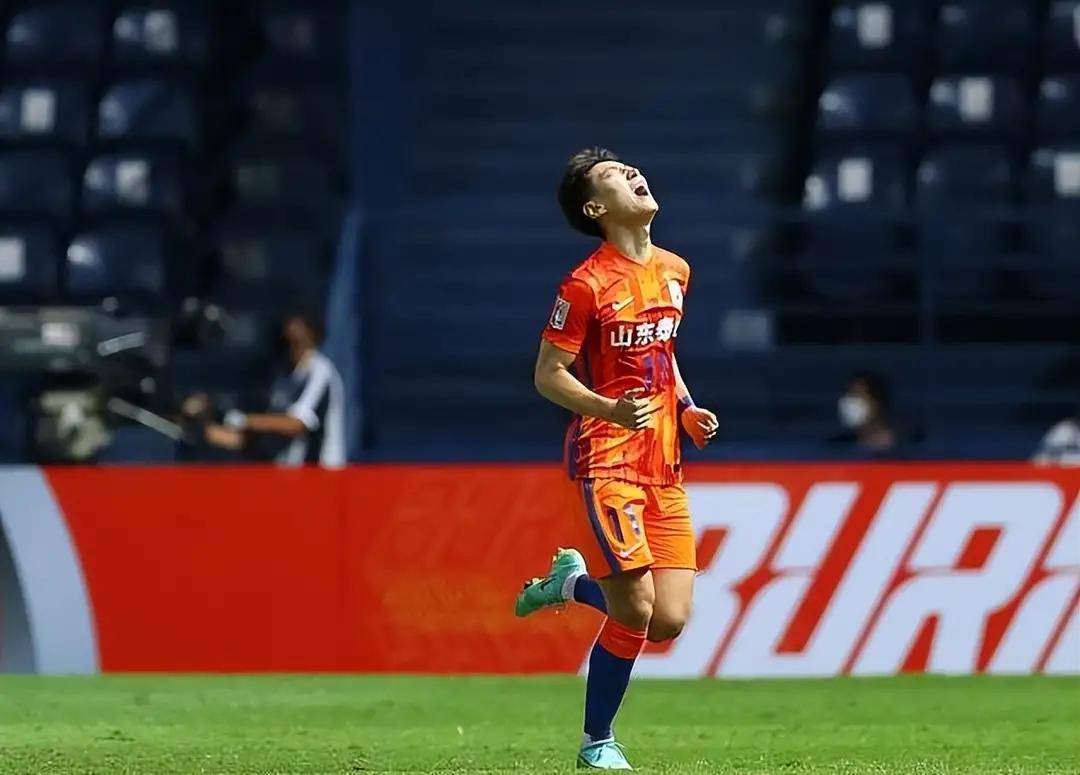 包含加拿大队表现不俗，积分榜上升的词条