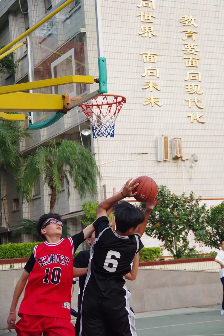 熊猫直播tv-关于精彩绝伦:热门球队斗志高昂的信息